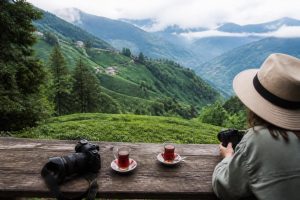 Rize Çay Bahçeleri Karşılaştırması: Manzara, Ulaşım ve Fotoğraf İçin Hangisi?